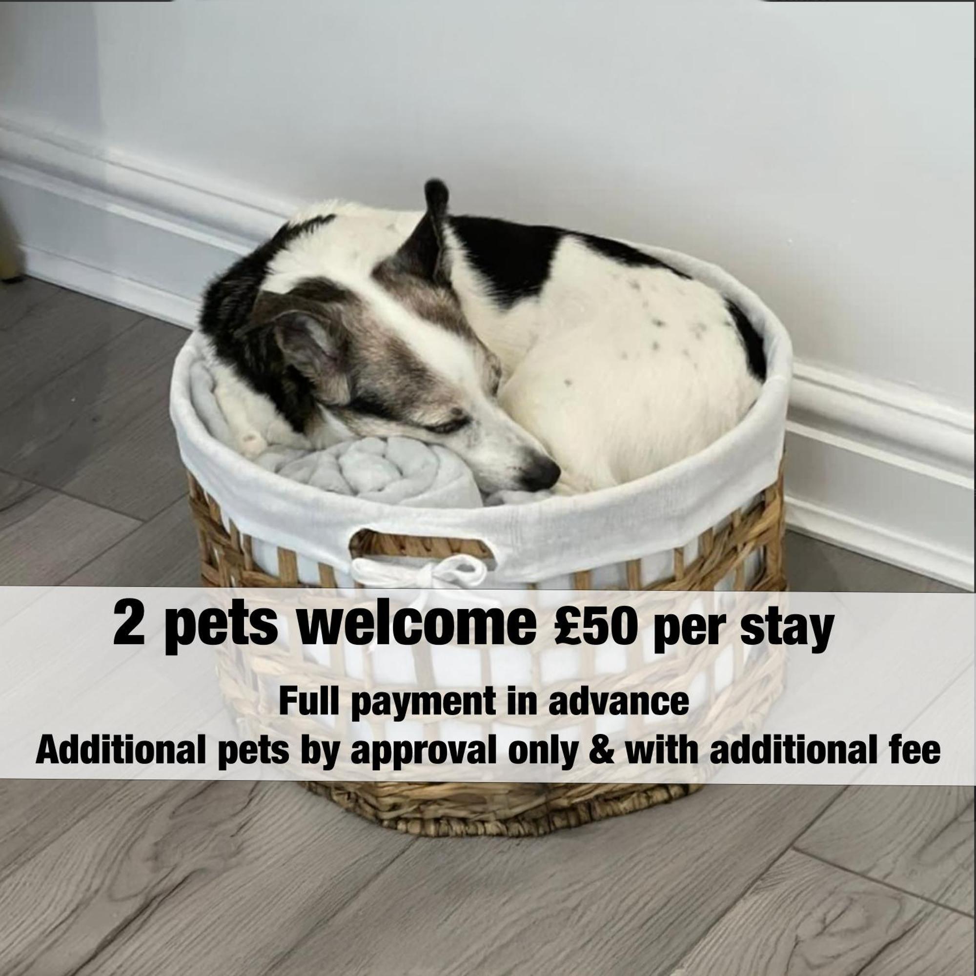 Amber Delightful Suite Moseley Mews, Birmingham By Staystaycations Zewnętrze zdjęcie